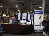 The CFA Intertional Cat Show
